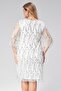 Plus Size V-Neck Fringe Sequin Embroidered Evening Dress-White - 5