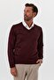 Men's Standard Fit Normal Cut V-Neck Knitwear Sweater - 6