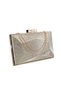 Gold Evening Dress Bag. Snake Patterned. Gold Evening Dress Bag. Gold Evening Dress Evening Bag. Portfolio & Cultc Bag.