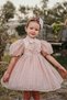 Special Design Girl's Dress, Lace Birthday Dress, Children's Evening Dress - 6