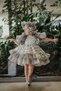 Special Design Girl's Dress with Hat, Short Girl's Dress, Children's Evening Dress with Accessories - 4