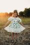 Girl's Dress, Crown Accessory Dress, Birthday Dress - 4