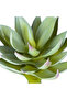 صبار صناعي أخضر عصاري 18 سم - 4