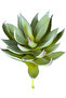 صبار صناعي أخضر عصاري 18 سم - 3