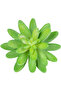 صبار صناعي أخضر عصاري 11 سم - 4