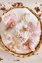 Organic Scallop Collar Süzene Flower Bunch Baby Hospital Exit Bodysuit Set