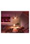 WCA 13W  Smart Light Bulb 100W - 1600 Lumen [E27 Edison Screw] - 6