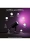 Lily Hue base unit spike black 3x8W 24V - 2