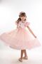 Special Design Girl's Evening Dress, Girl's Dress with Hair Accessories, Birthday Dress - 4