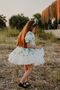 Girl's Dress, Crown Accessory Dress, Birthday Dress - 2