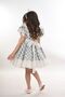Polka Dot Girls' Dress, Crown-Accessory Girls' Dress, Birthday Dress - 8