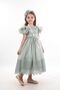 Special Design Girl's Evening Dress, Girl's Dress with Hair Accessories, Birthday Dress - 2