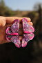 Polymer Clay Handmade Studded Pink Big Butterfly Earrings - 4