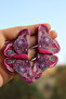 Polymer Clay Handmade Studded Pink Big Butterfly Earrings - 5
