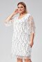 Plus Size V-Neck Fringe Sequin Embroidered Evening Dress-White - 7