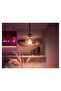 WCA 13W  Smart Light Bulb 100W - 1600 Lumen [E27 Edison Screw] - 8