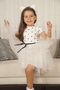 Baby Girl Child Princess Fluffy Tutu Dress Polka Dot Short Sleeve Flexible Lycra - 4