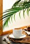 Artukbey Medium Roast Turkish Coffee 1000 gr - 2