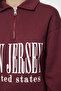 Burgundy Oversize Pattern Thick Fleece Inside Slogan Printed Zippered Knitted Sweatshirt Twoaw25Sw00134 - 4