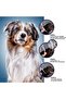 Cat-Dog Anti Flea and Tick Collar - Anti Flea Collar - Anti Tick Collar - 4