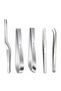 Set of 5 Transparent Tweezers - Straight, Oblique and Fish Tweezers Flat Straight Collet Food Pastry Tweezers