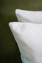 2-Piece Premium Velvet Textured Suede Cushion Cover Ecru (45X45) - 4