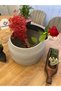 Jute, Wicker, Bell Basket, Kitchen Basket, Fruit Basket, Potato, Onion Basket Organizer - 2
