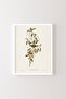 White Frame - Bird Branch