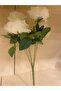 Roses Bunch Multiple White - 5
