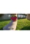 Bambu Çocuk Çorabı Krem Mini Neşeli Çorap HolaLoco - 3