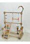 Bird Amusement Playground. Bird Entertainment Park (Lovebird, Paradise, Sultan, Sevda, Forpus Parrot) - 5