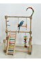 Bird Amusement Playground. Bird Entertainment Park (Lovebird, Paradise, Sultan, Sevda, Forpus Parrot) - 3