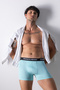 Men's 3-Piece Luxury Boxed Cotton and Stretch Fabric Boxers - Mint Green - 3