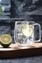 250 ml Borosilicate Glass Tea and Coffee Mug with Handle and Double Walls - 5
