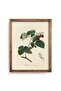 Raspberry - Wooden Patterned Frame