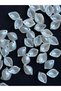 80 Pieces of Pearlescent Plastic Beads with White Leaf Figure - 3