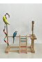Bird Entertainment Track - Budgie, Paradise, Sultan, Sevda and Forpus Parrot