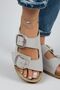 Irene Women's Gray - Silver Buckle Double Buckle - 4