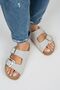 Irene Women's Gray - Silver Buckle Double Buckle