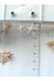 Tiny Sea Stars : 0.5 - 1.5 cm / 10 Pcs - 2