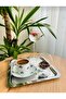 12-Piece Stainless Steel Round, Square Coffee Cake Serving Tray Decorative Presentation Tray - 3