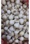Taşköprü Sarımsak ( Orta Boy ) 1 Kilo - 4