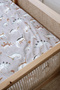 160X220 Dinosaur Single Duvet Cover Set - 3