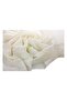 Flamed Square Cotton Blanket - Cream - 2
