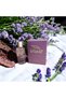 Violet Edp 100 ml Kadın - 2