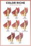 Color Ri̇che Intense Pigment Satin Finish Lipstick - 520 Nude Defi̇ant -Ruj Demba3117 - 5
