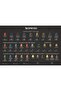 All Coffee 40 Capsules Mixed Trial Set 1 Piece of All - 3