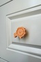 Orange Lion Cabinet Handle - Cute Furniture Handle for Kids Room, Kitchen and Bathroom,Handlesd