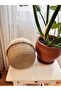 Wicker Basket Flower Pot - 2