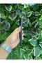 Vivo V21 Compatible Case Platinum Lens Protection Sliding Silicone - Green - 3